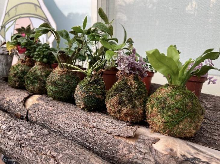 Taoyuan Daxi | Xizhou Umweltbildungszentrum | Führung und Workshop am Absetzbecken